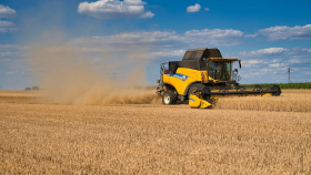 Во Франции значительно ухудшилось состояние посевов озимой пшеницы